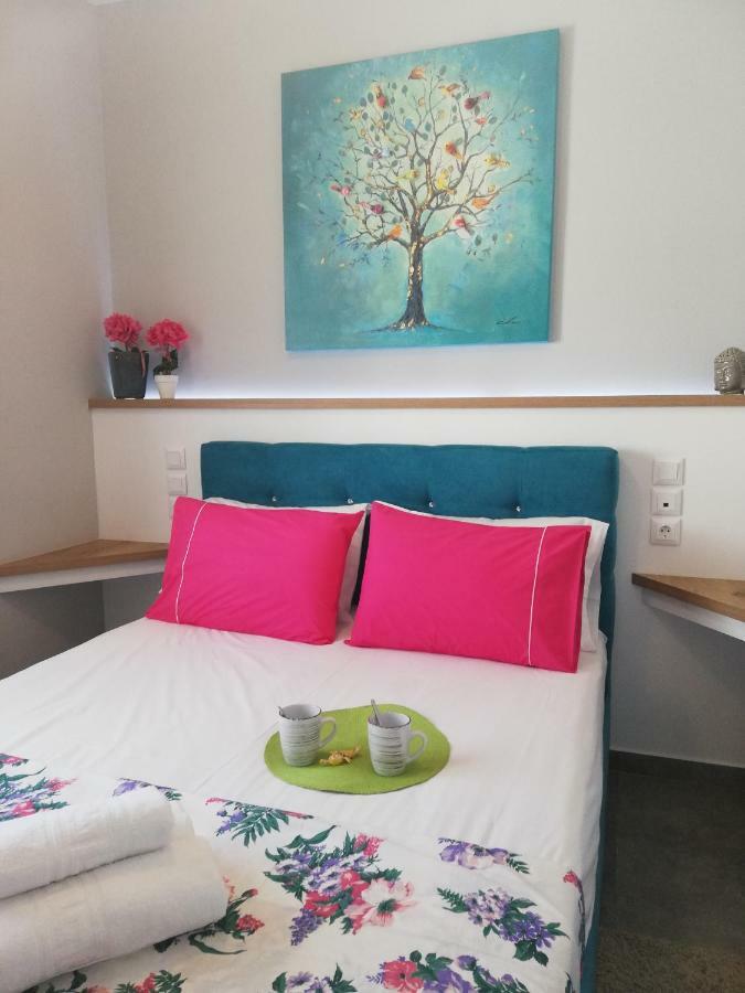 Sandra"S Acropolis View Penthouses Atina Dış mekan fotoğraf